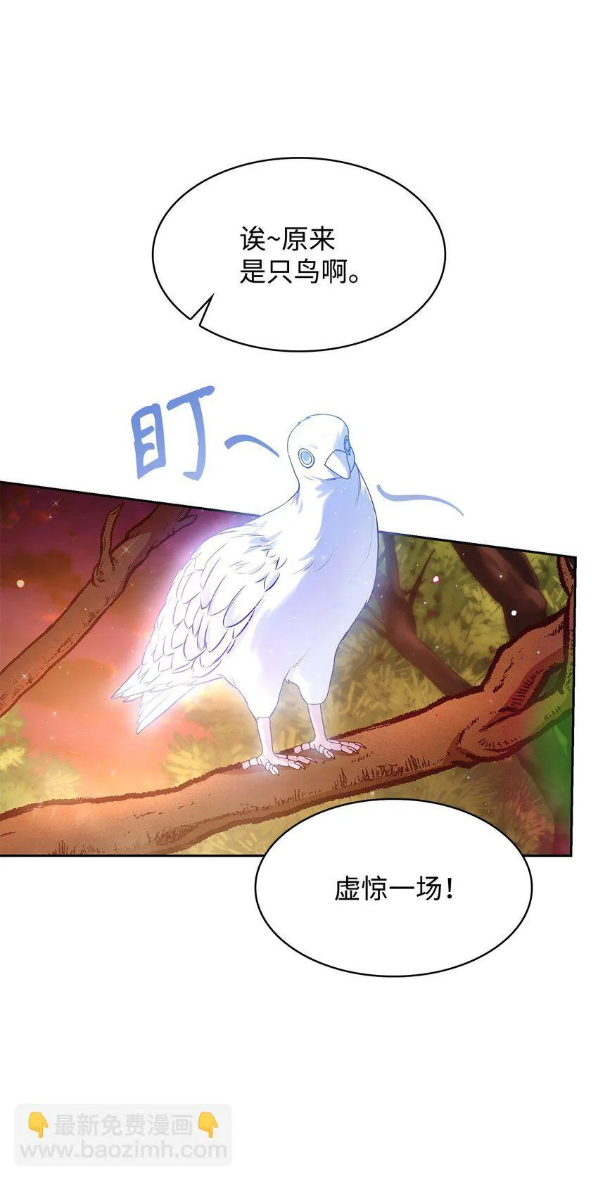 36 森林奇遇30
