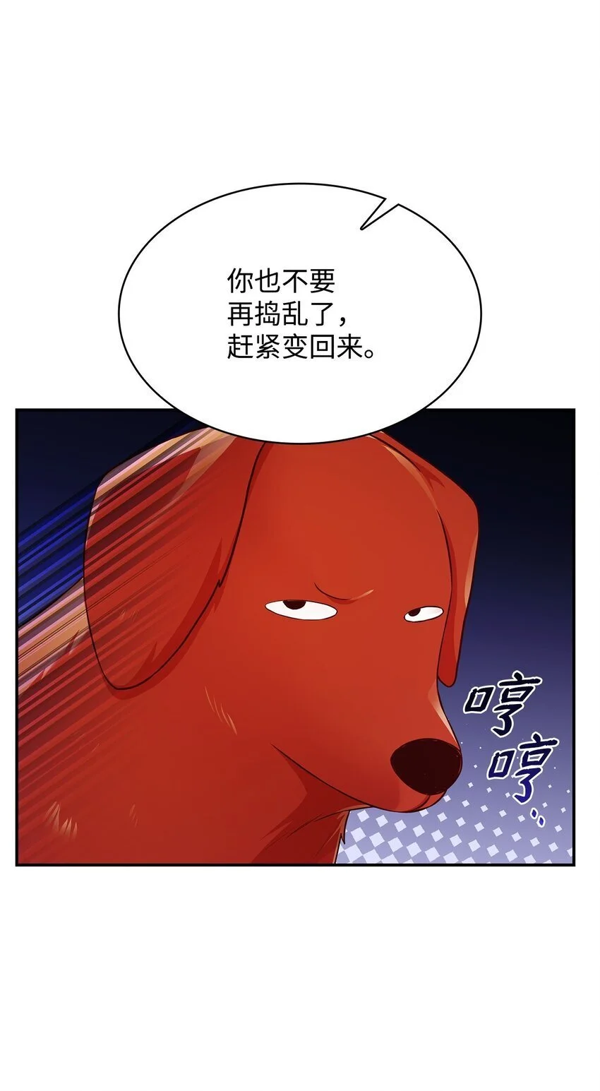 31 温室里的温馨28