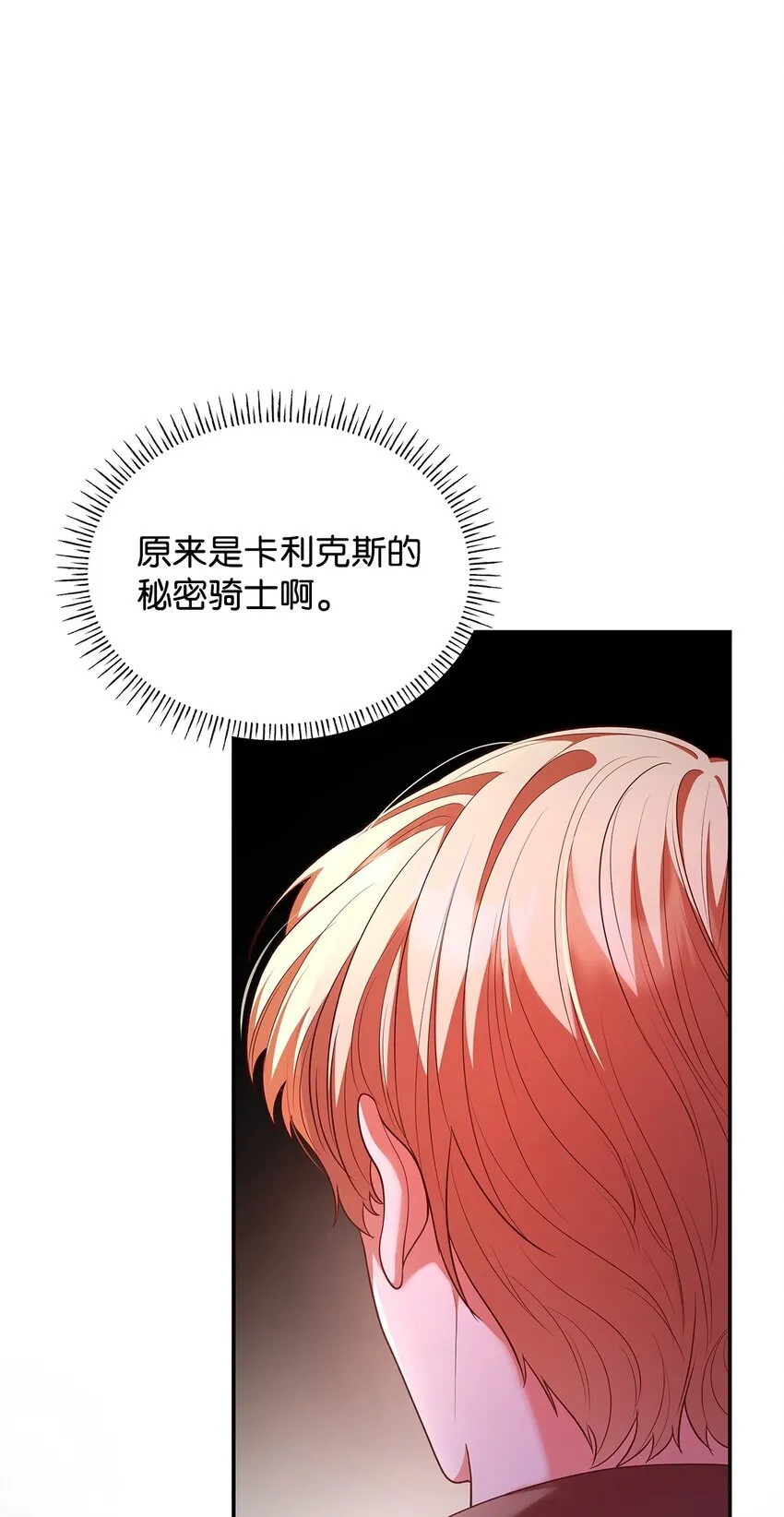 48 作战31