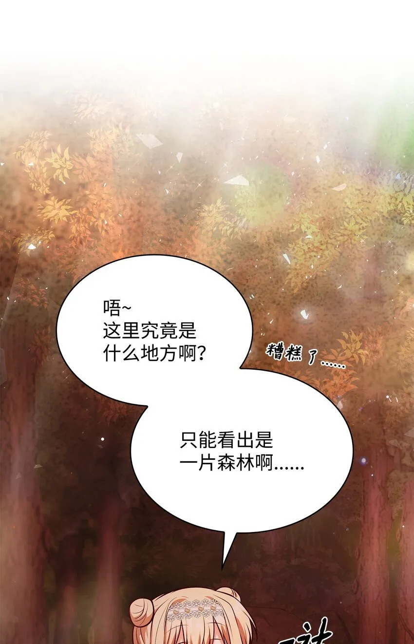 36 森林奇遇25