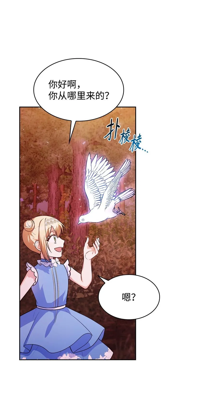 36 森林奇遇31