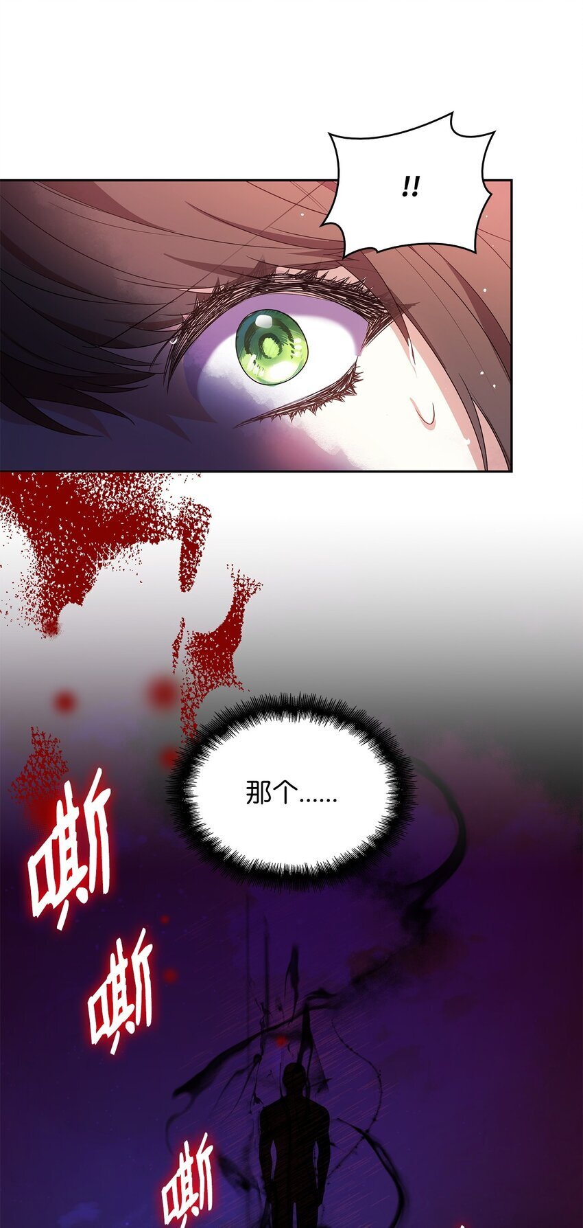 12 遇袭110