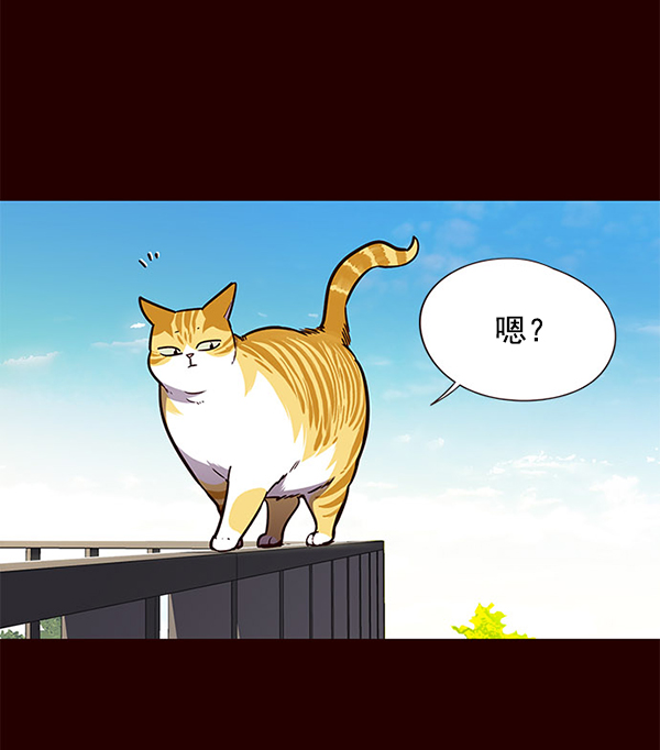 第52话41