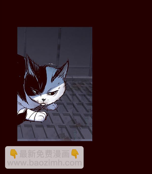 第36话17