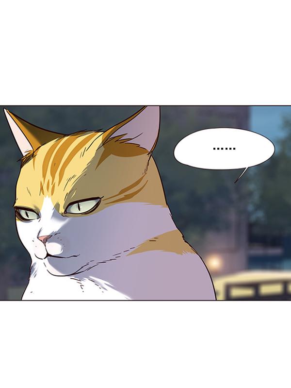 第91话100