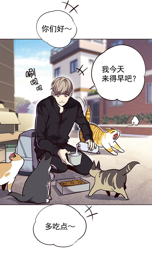 第117话12