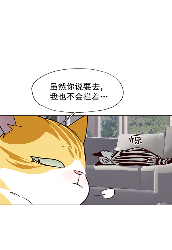 第37话36