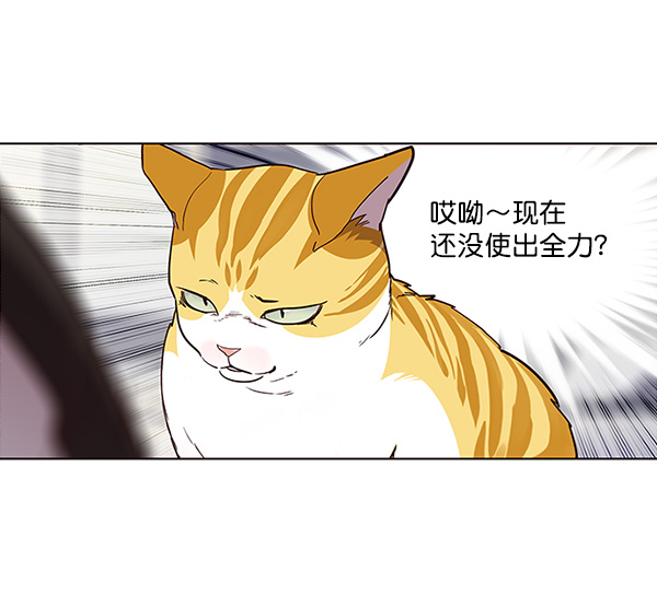 第26话24