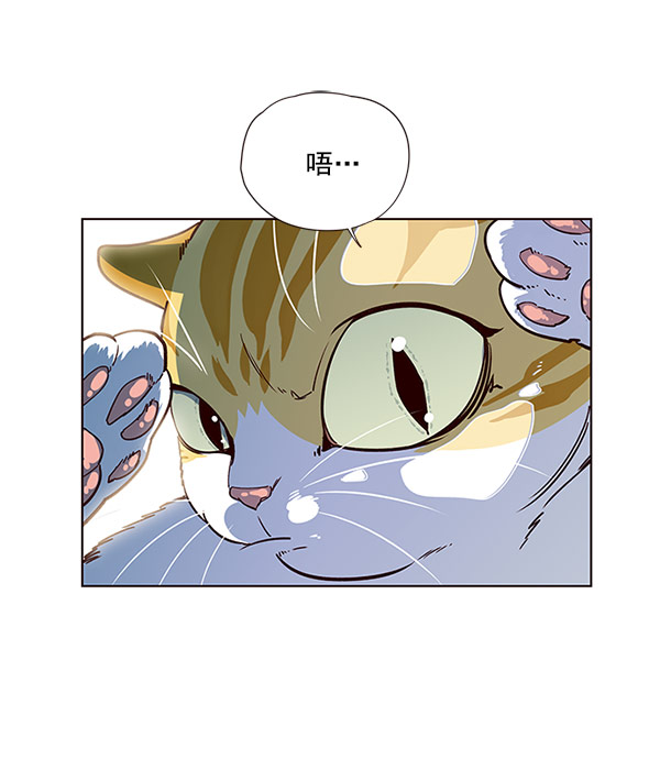 第13话1