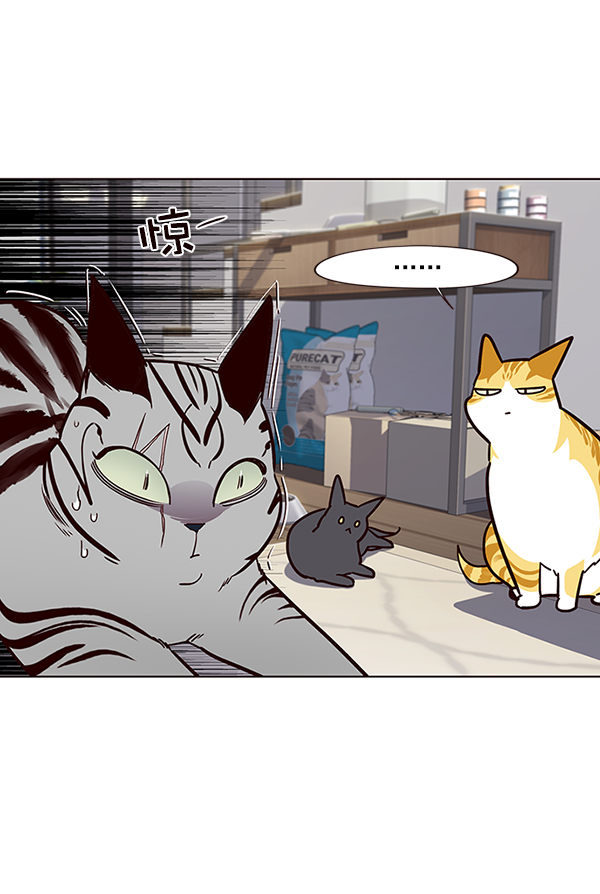 第37话47