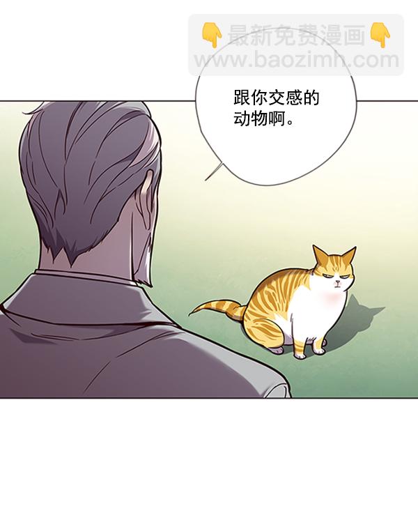 第92话44