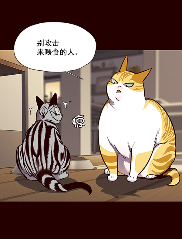 第67话44