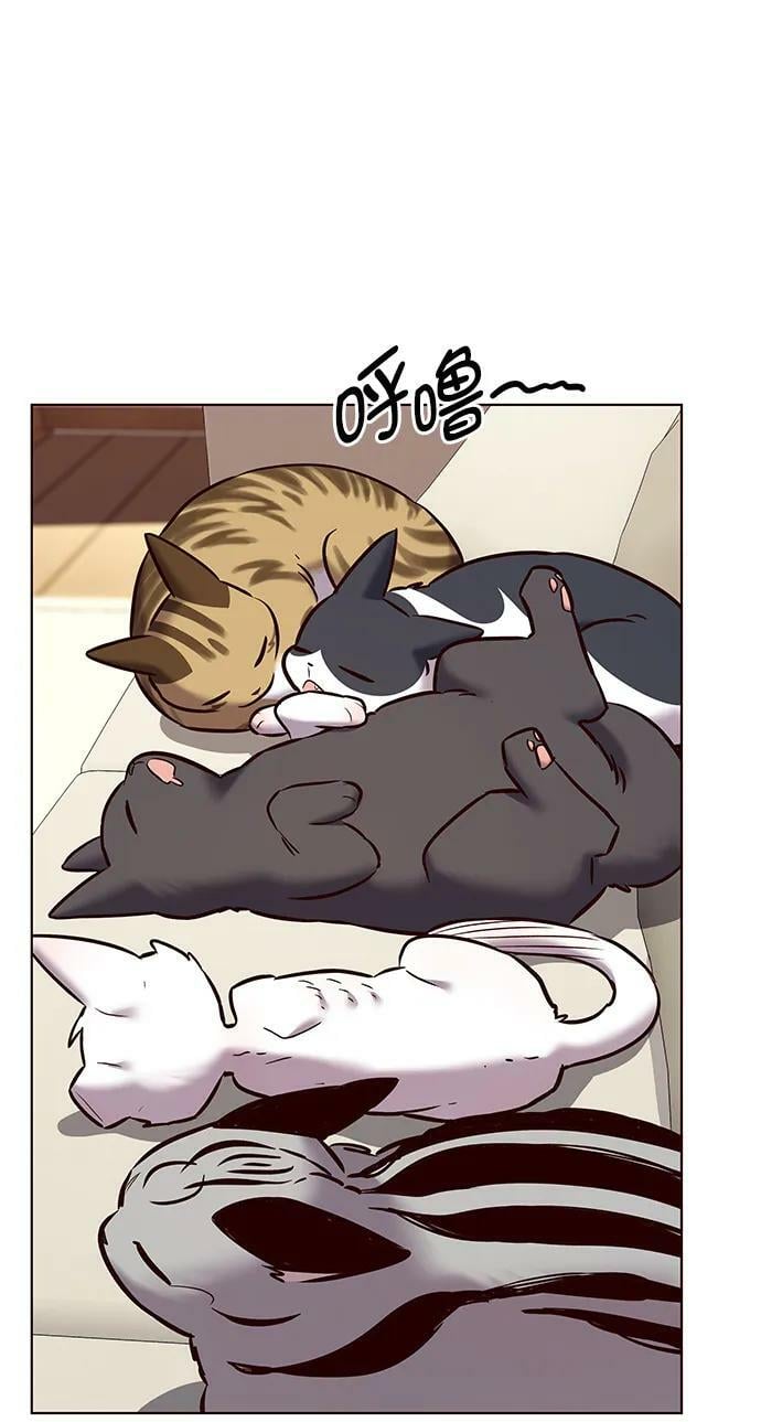 第243话67