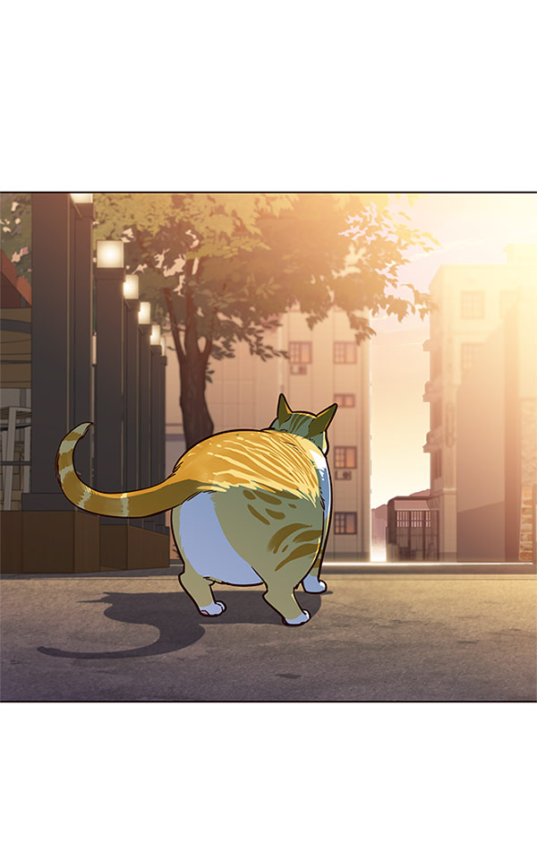 第13话6