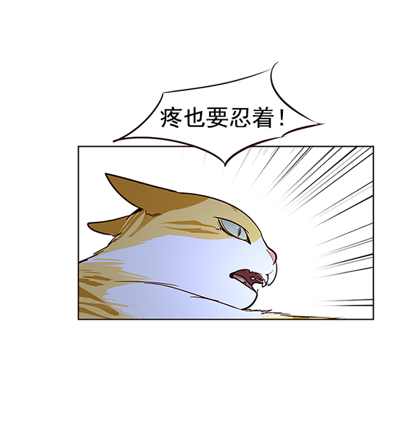 第8话96