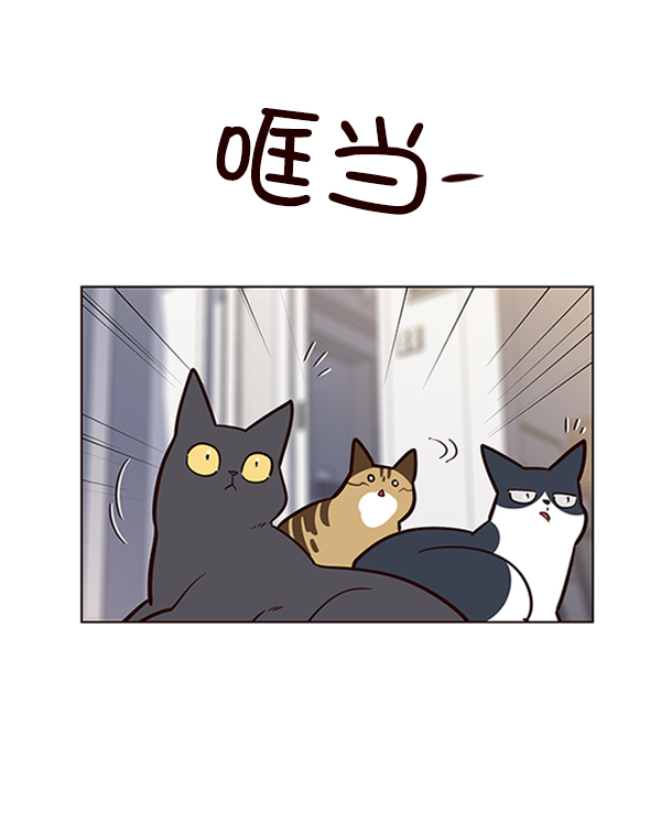 第55话13