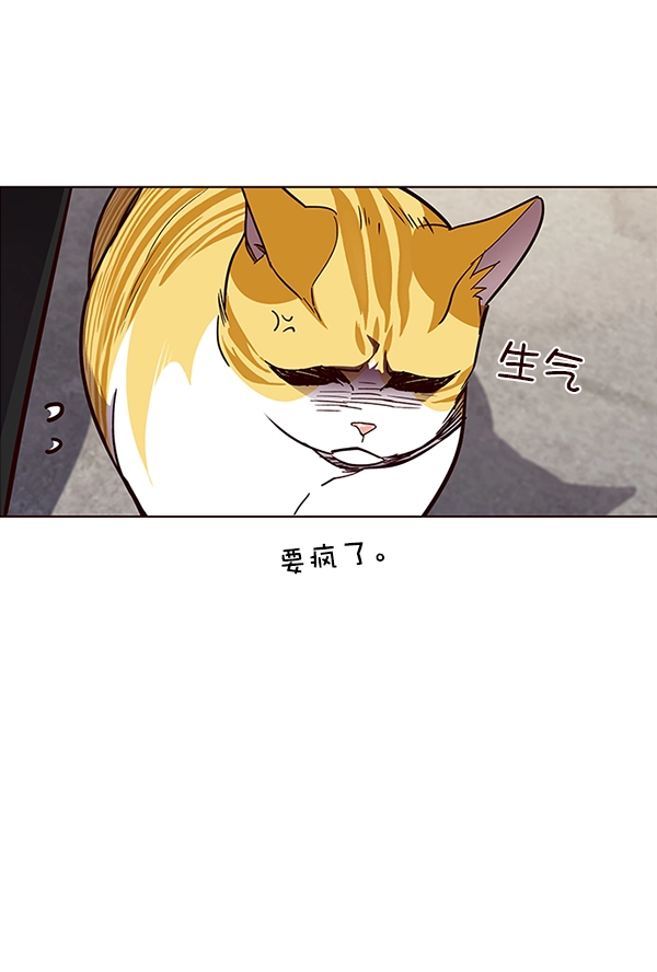 第36话99
