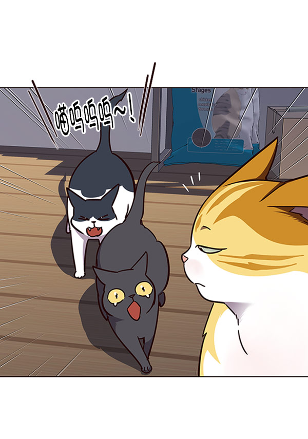 第58话55