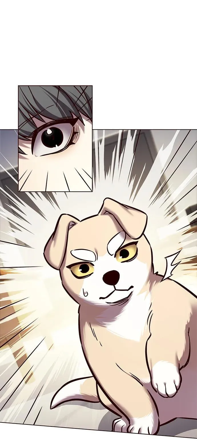 第280话19