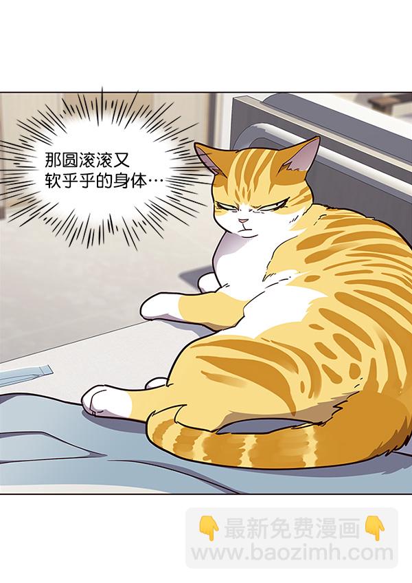 第28话43