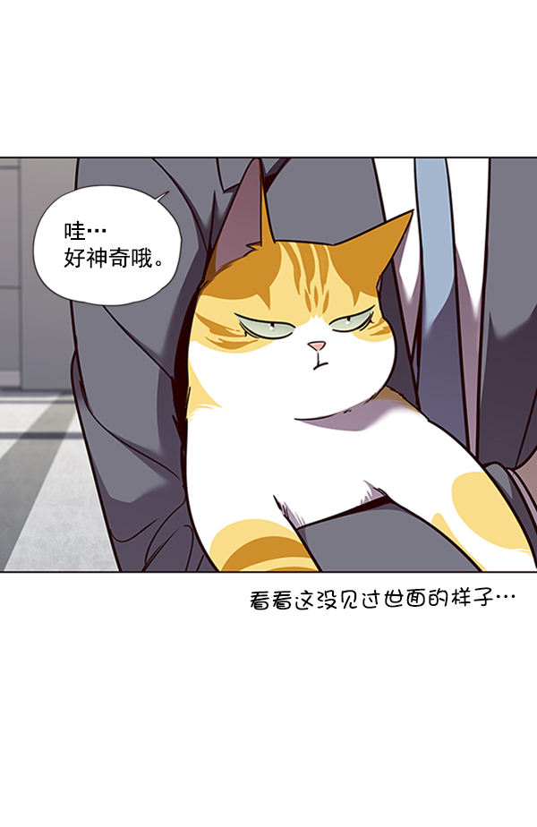 第53话28