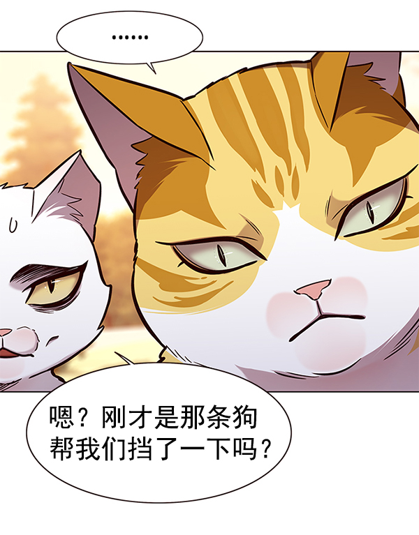 第161话81