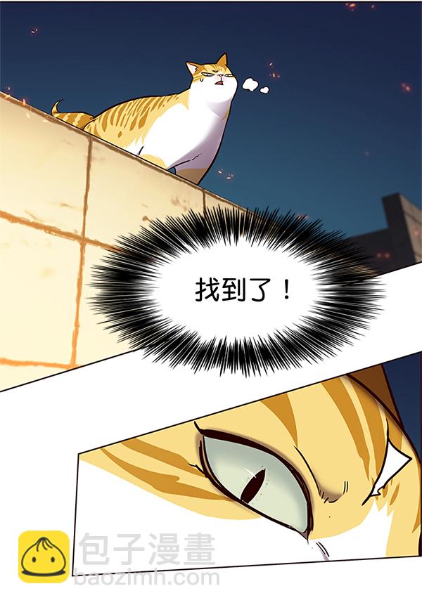 第110话71