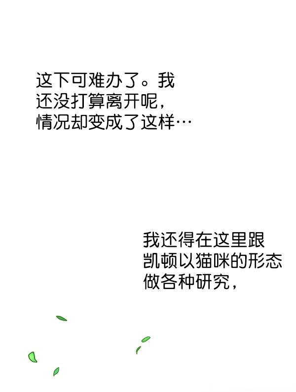 第179话95