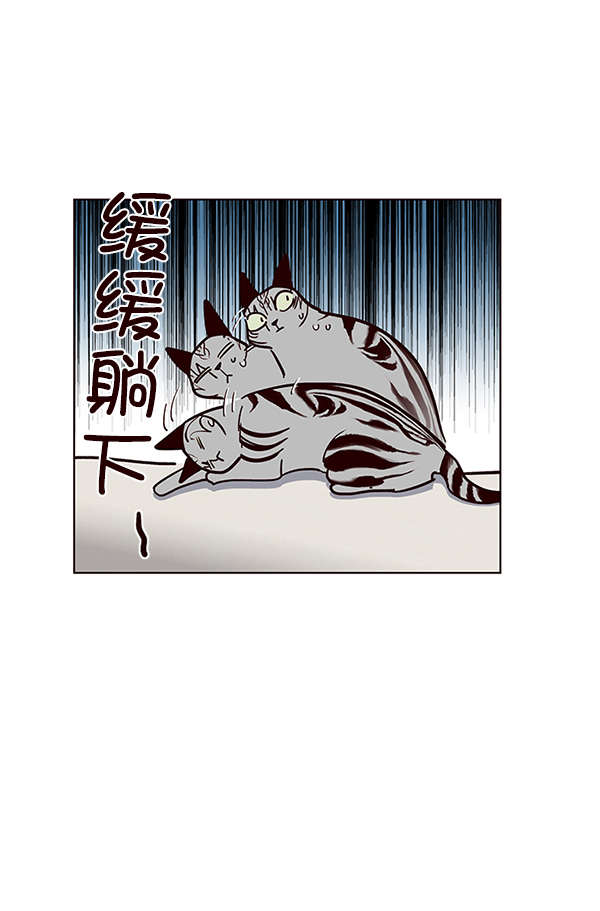 第37话49