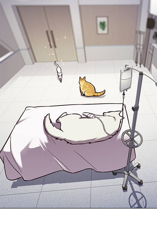 第166话12