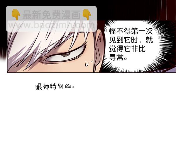 第46话46