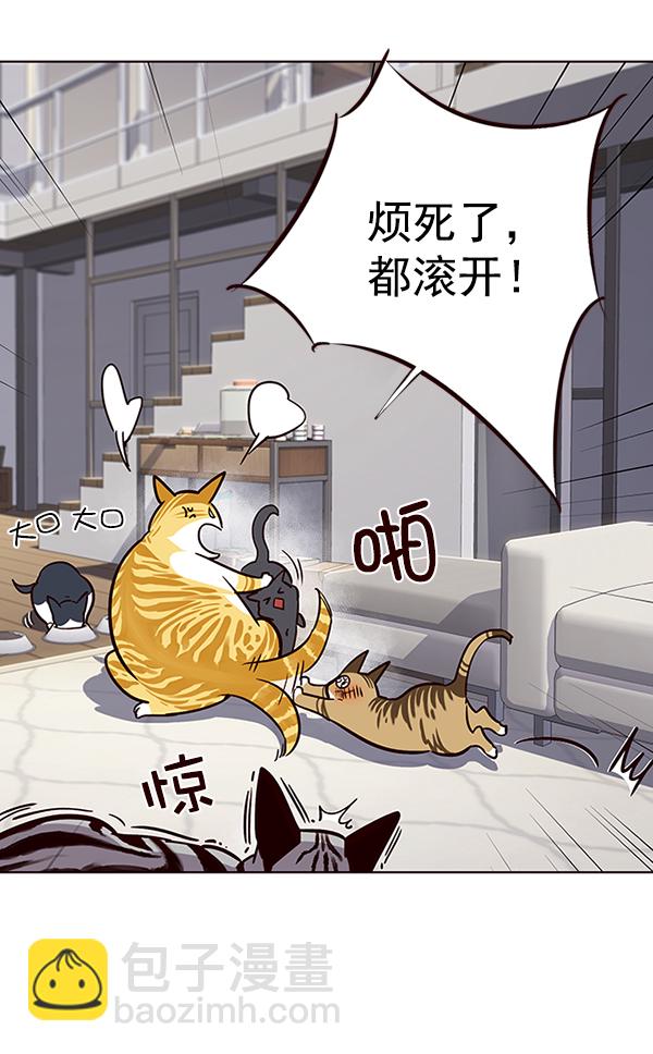 第37话59