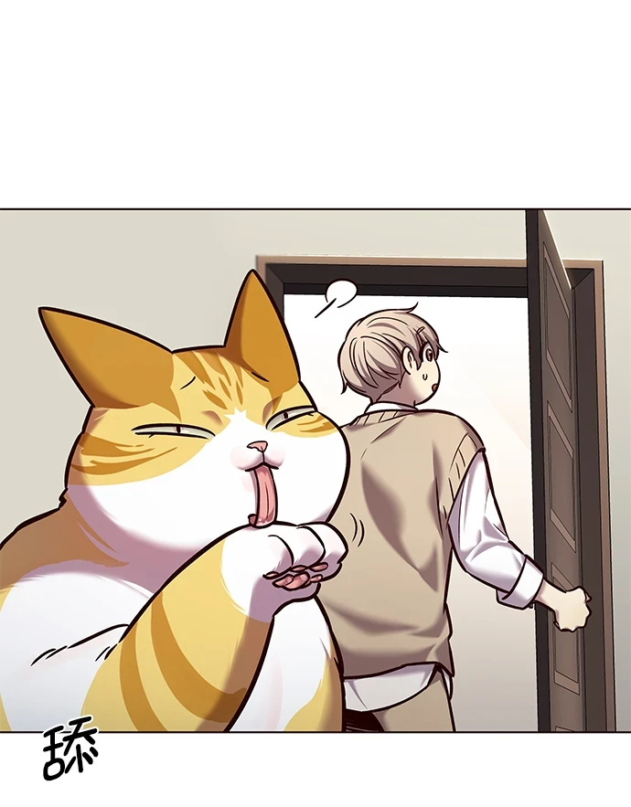 第228话23