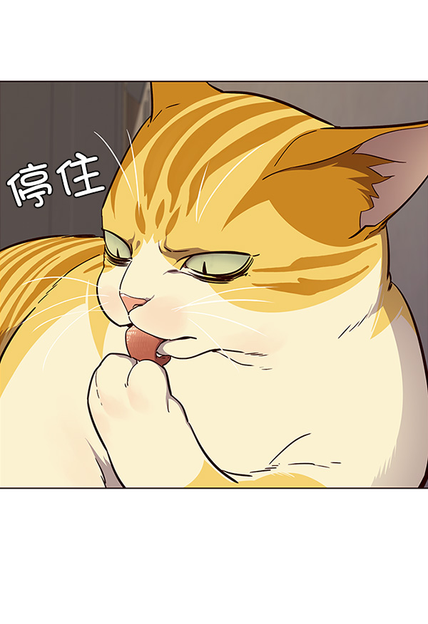 第29话26