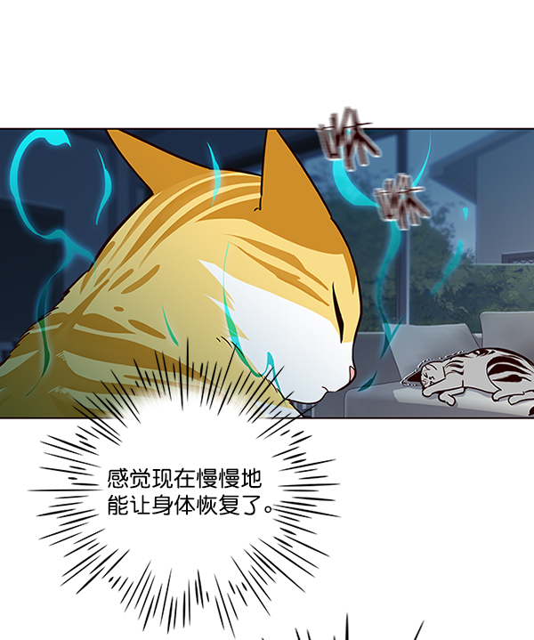 第37话53