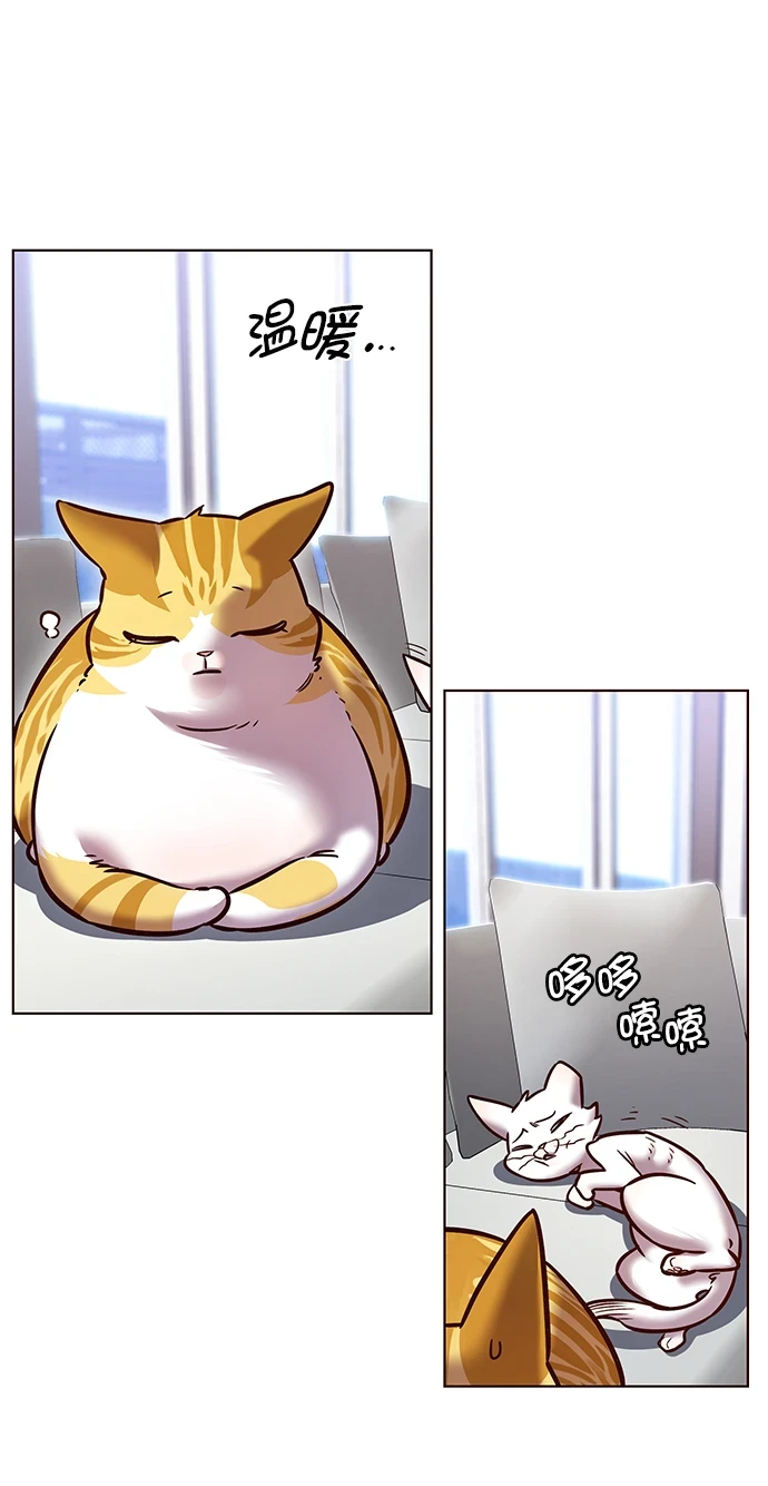 第229话20