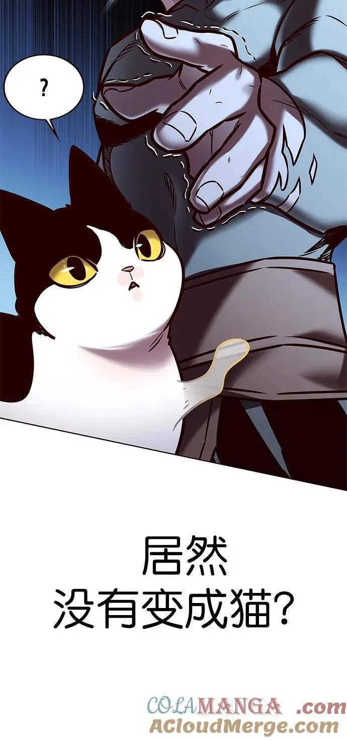第279话40