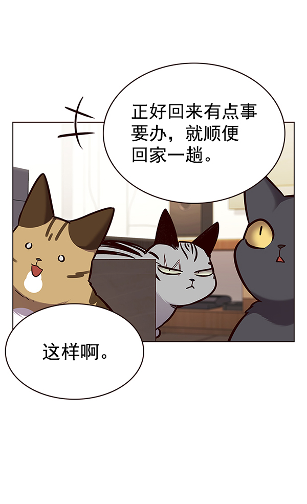 第177话11
