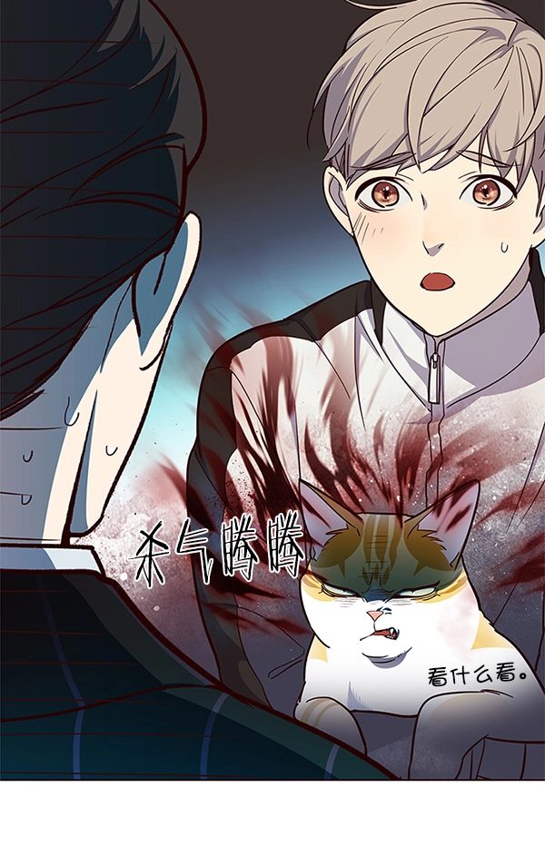 第23话95