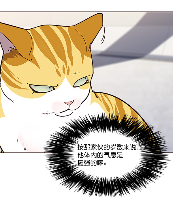 第24话71