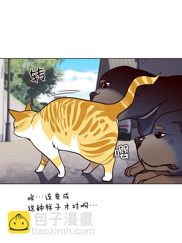 第36话117
