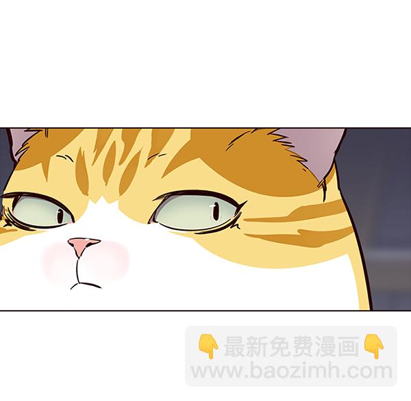 第35话61