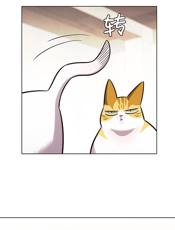 第179话53