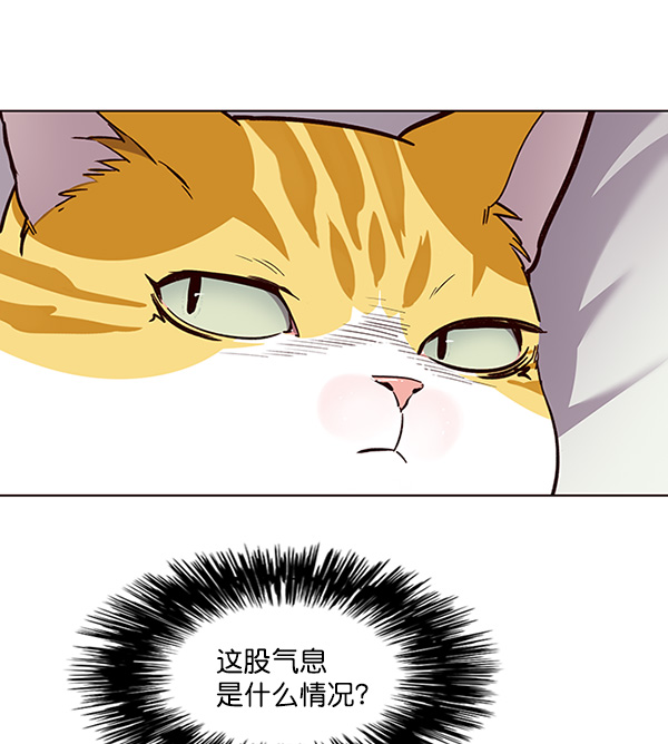 第24话6