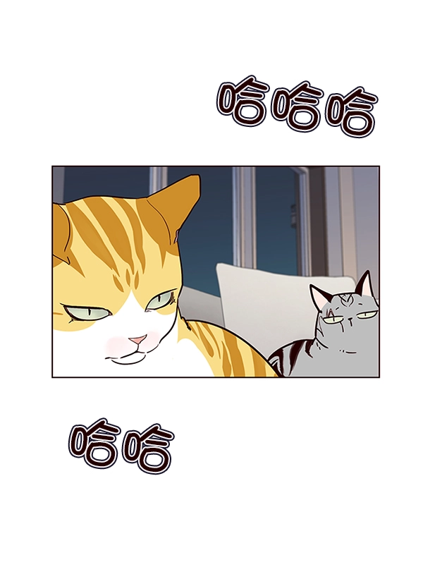第40话74