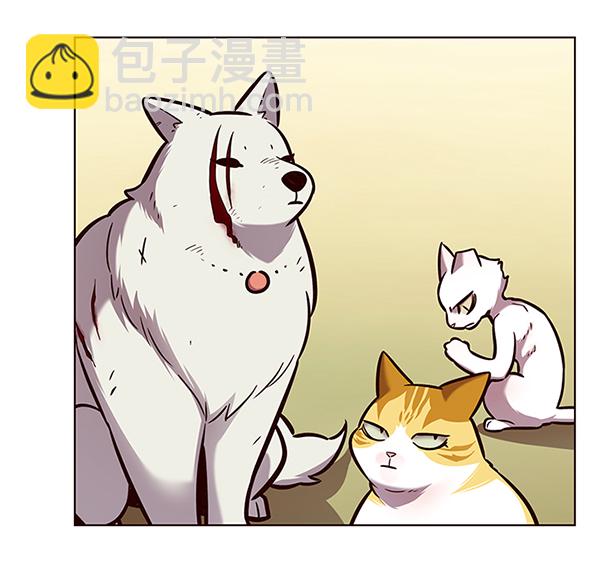 第162话31
