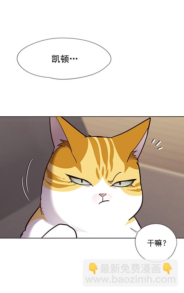 第65话85