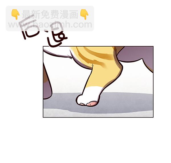 第119话92