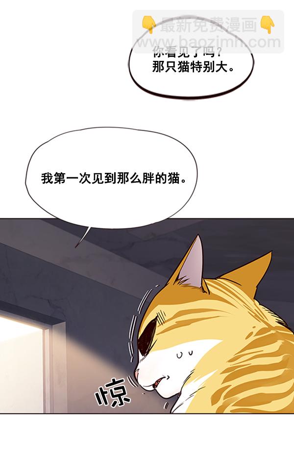 第19话98