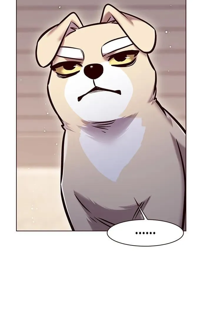 第295话43